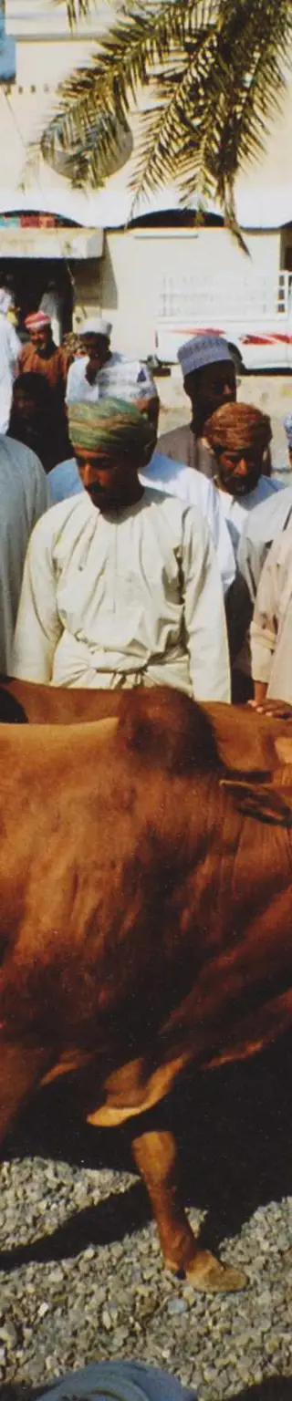 Mische dich unter die Schaulustigen auf dem Tiermarkt von Nizwa